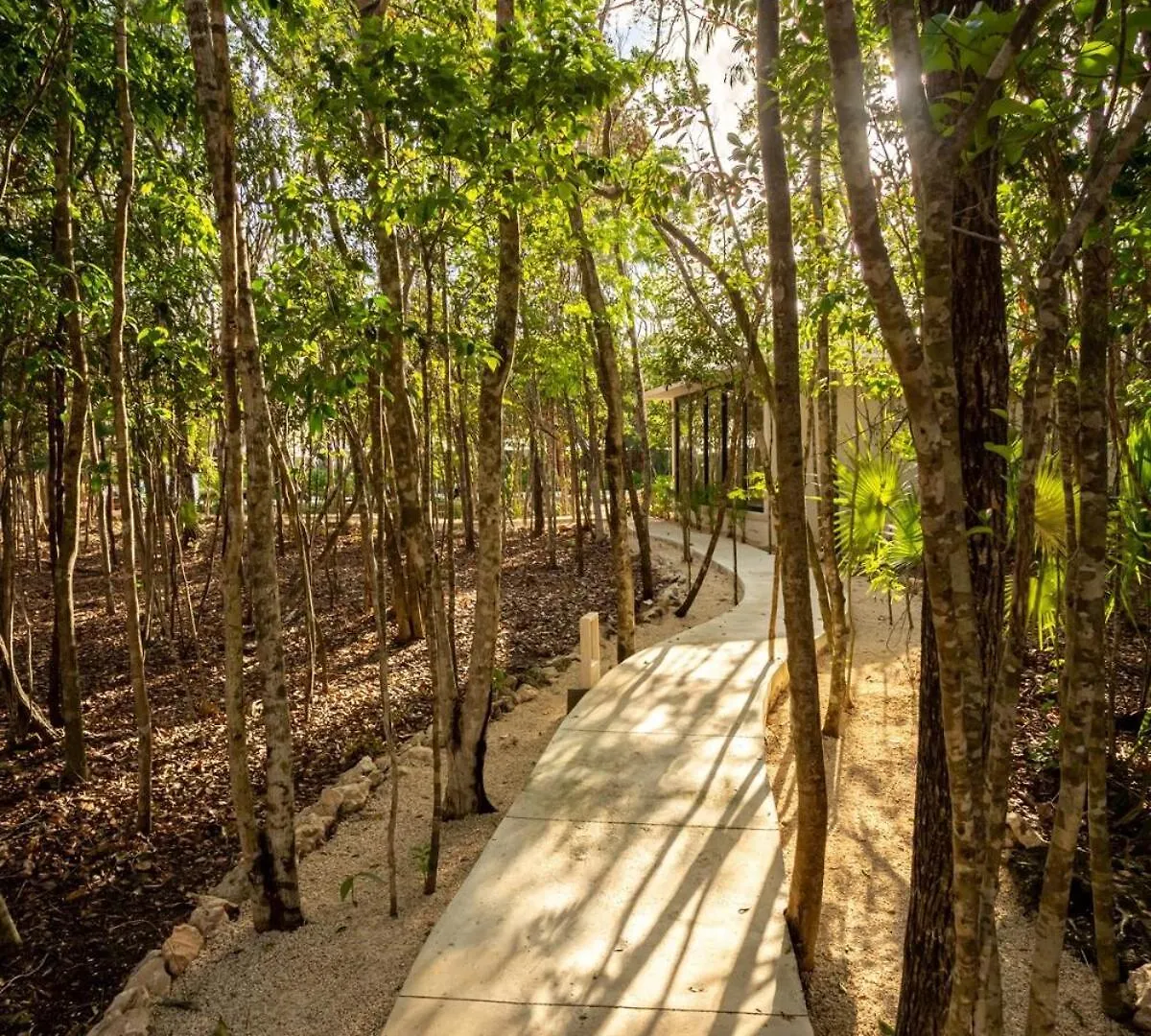 Casa En Edena Tulum Villa Mexico